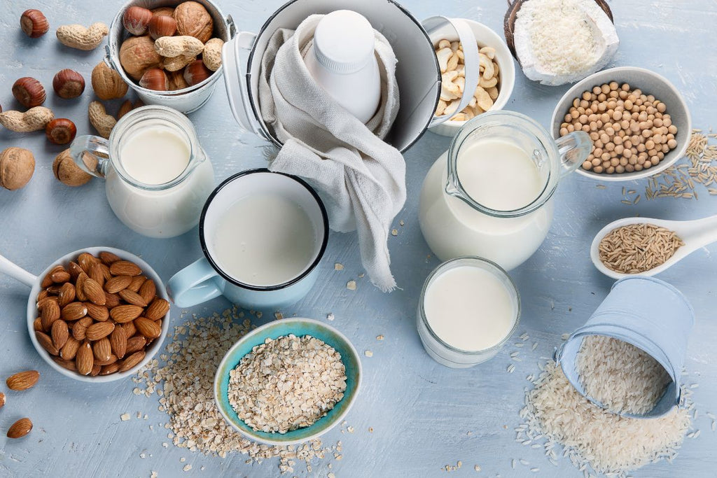 How to Make Homemade Plant milk