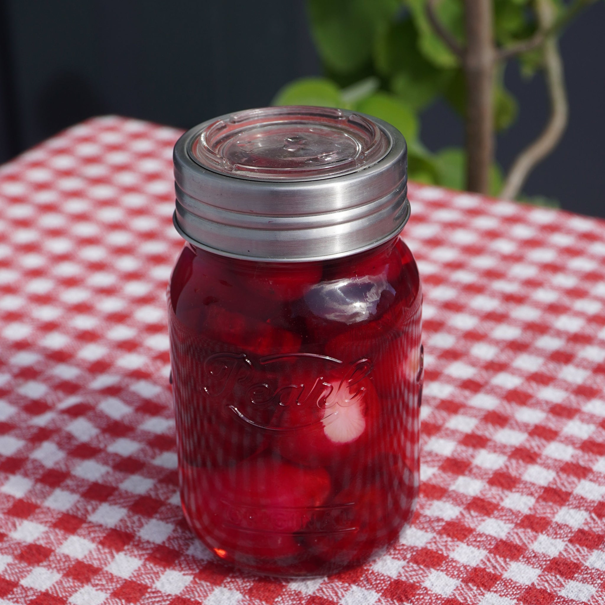 Fermentation – Pearl Jars
