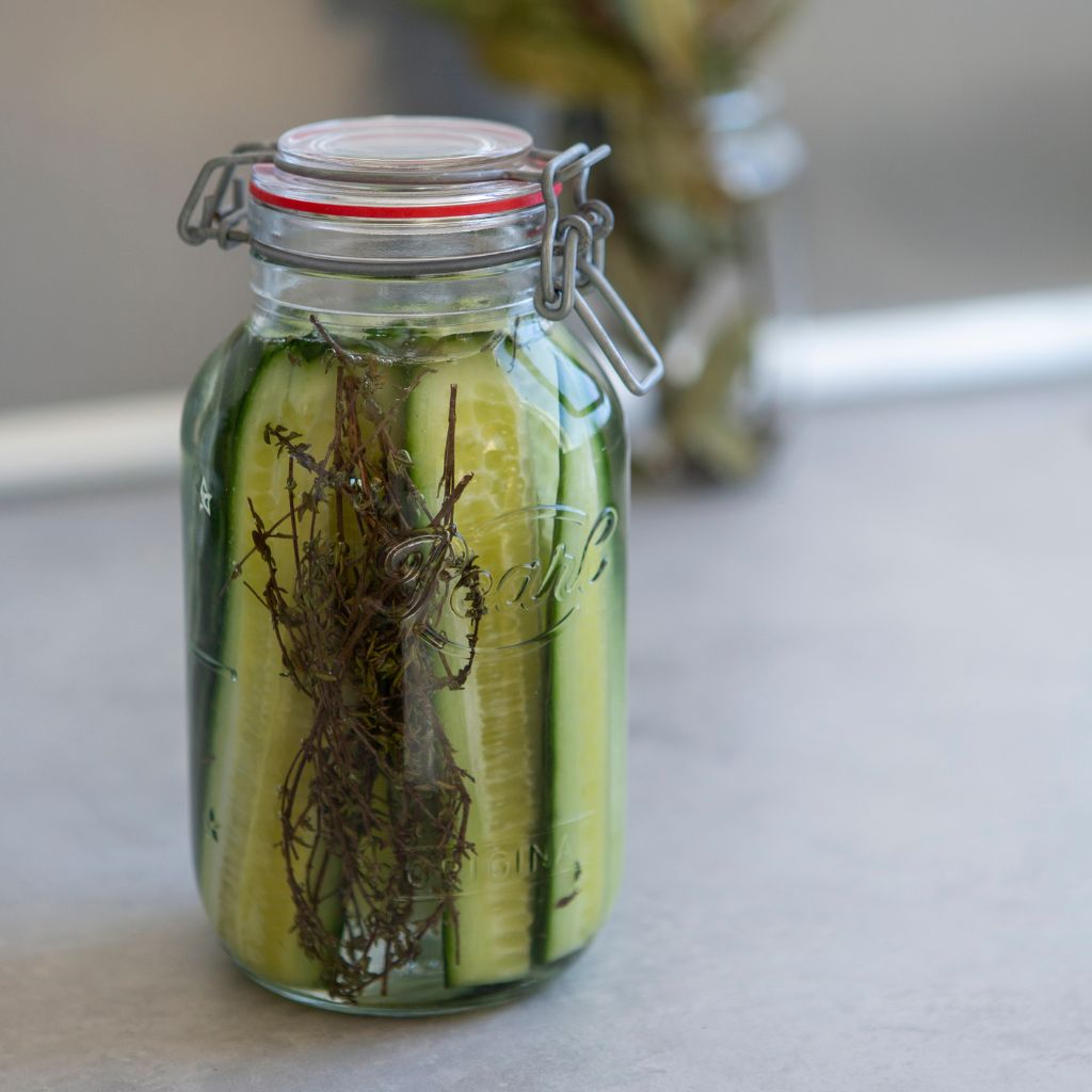 Original Classic Swing jar filled with pickles for fermenting